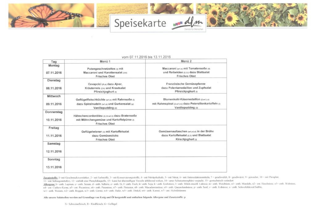 Speiseplan Schulwoche 8