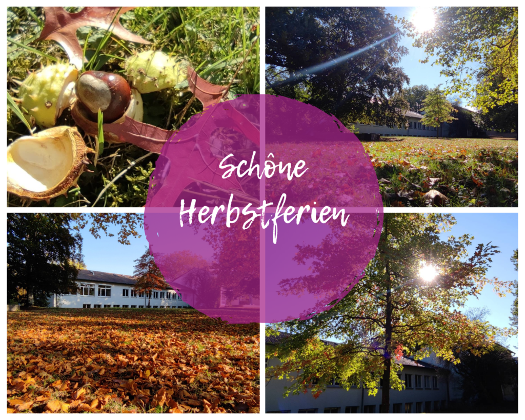 Schöne Herbstferien 💜